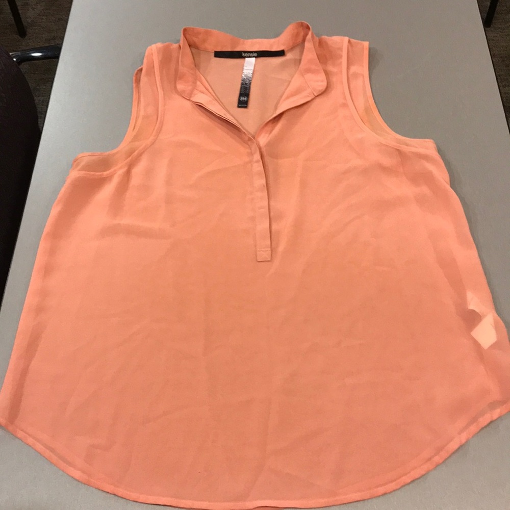 Salmon Kensie Sheer Blouse